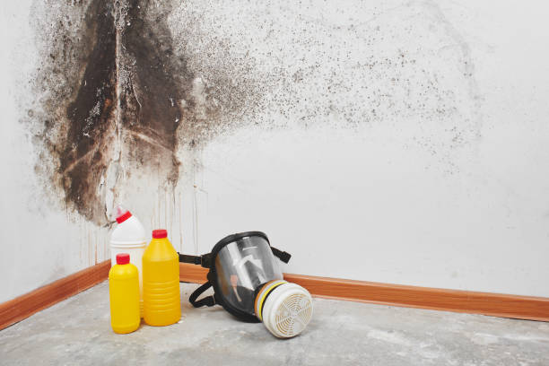 Best Mold Testing  in Tichigan, WI