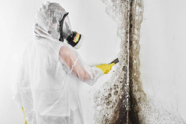 Water Damage Restoration in Tichigan, WI