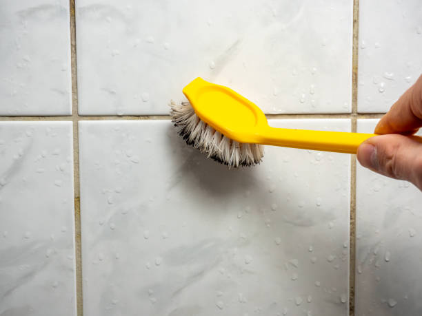 Best Emergency Mold Removal  in Tichigan, WI