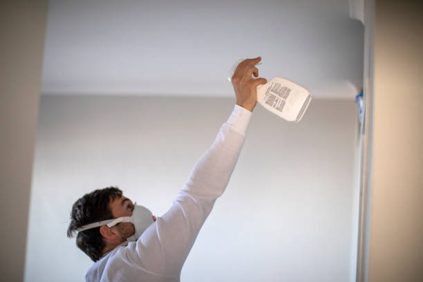 Best Affordable Mold Removal  in Tichigan, WI