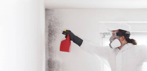 Best Water Damage Restoration  in Tichigan, WI
