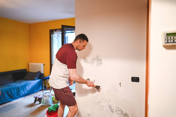 Best Best Mold Removal Companies  in Tichigan, WI
